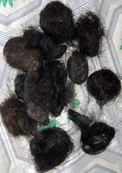 Manufacturers Exporters and Wholesale Suppliers of Comb Human Hair Ball MURSHIDABAD West Bengal